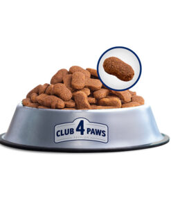 Club4Paws sausas šunų maistas Scout, skirtas vidutinių ir didelių veislių šunims_