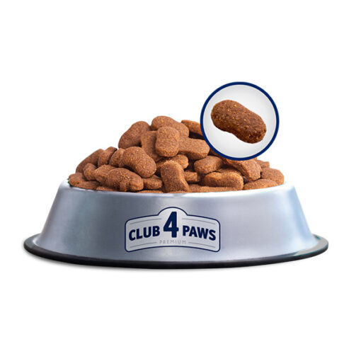 Club4Paws sausas šunų maistas Scout, skirtas vidutinių ir didelių veislių šunims_