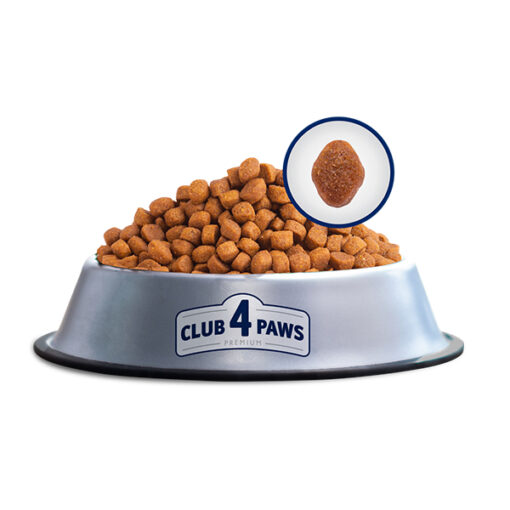 Club4Paws sausas kačių maistas 4 viename_