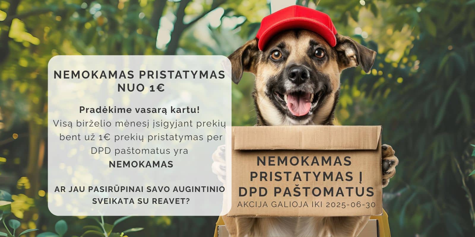 NEMOKAMAS PRISTATYMAS Į DPD PAŠTOMATUS. AKCIJA GALIOJA IKI 2025-06-30