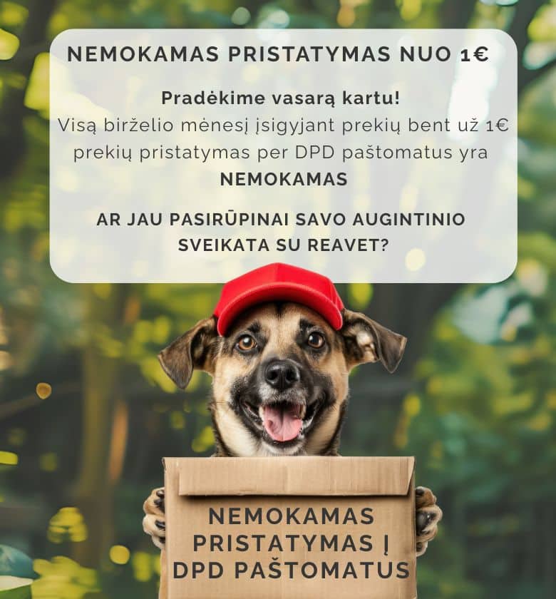 NEMOKAMAS PRISTATYMAS Į DPD PAŠTOMATUS. AKCIJA GALIOJA IKI 2025-06-30