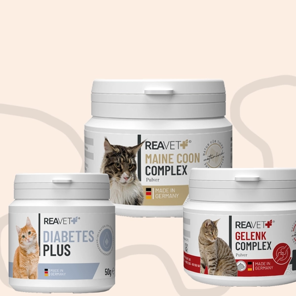 Vitaminai ir papildai katėms