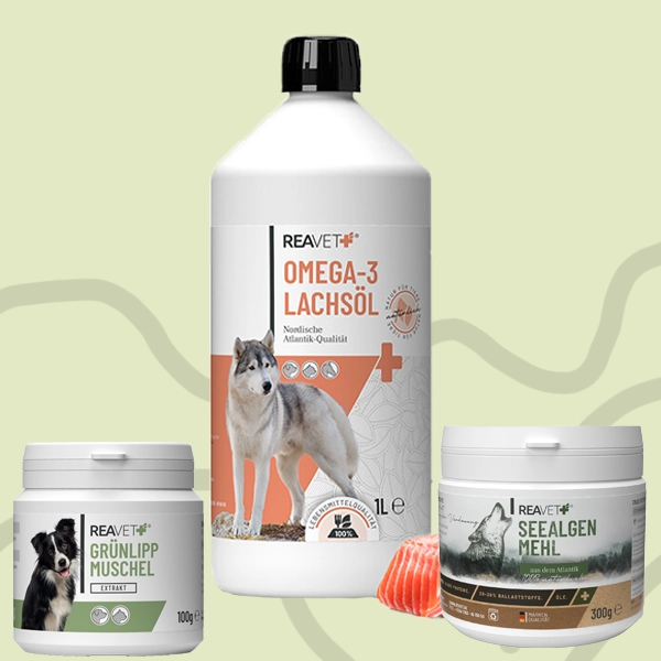 Vitaminai ir papildai šunims