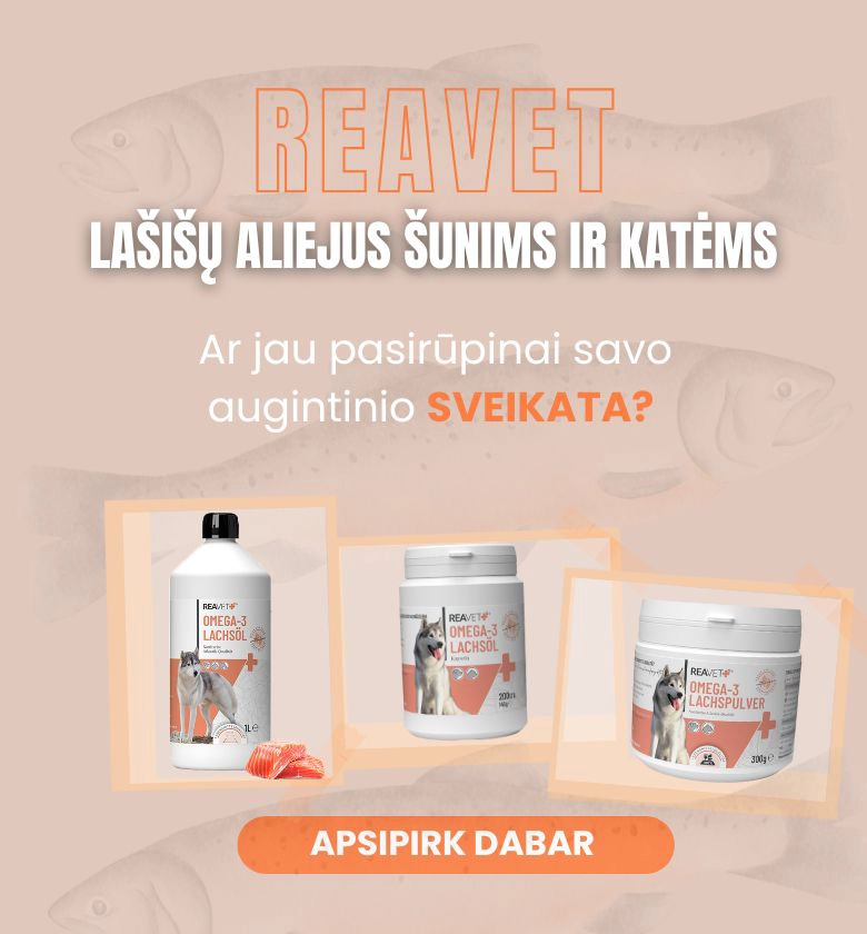 Slider mobile - Lašišų aliejus šunims ir katėms, galimos įvairios formos: aliejaus, kapsulių arba miltelių.